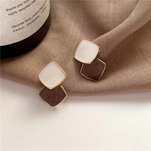 Autumn Winter New Brown Earrings